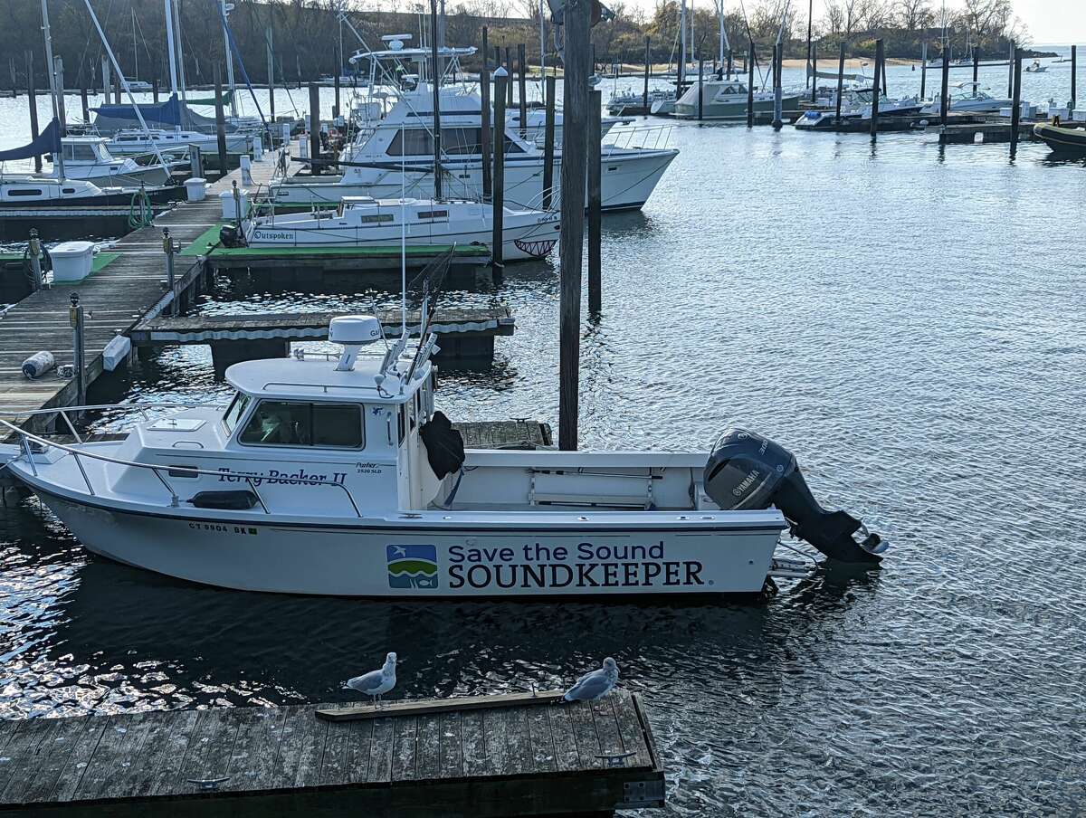 New report details highs, lows of Long Island Sound quality