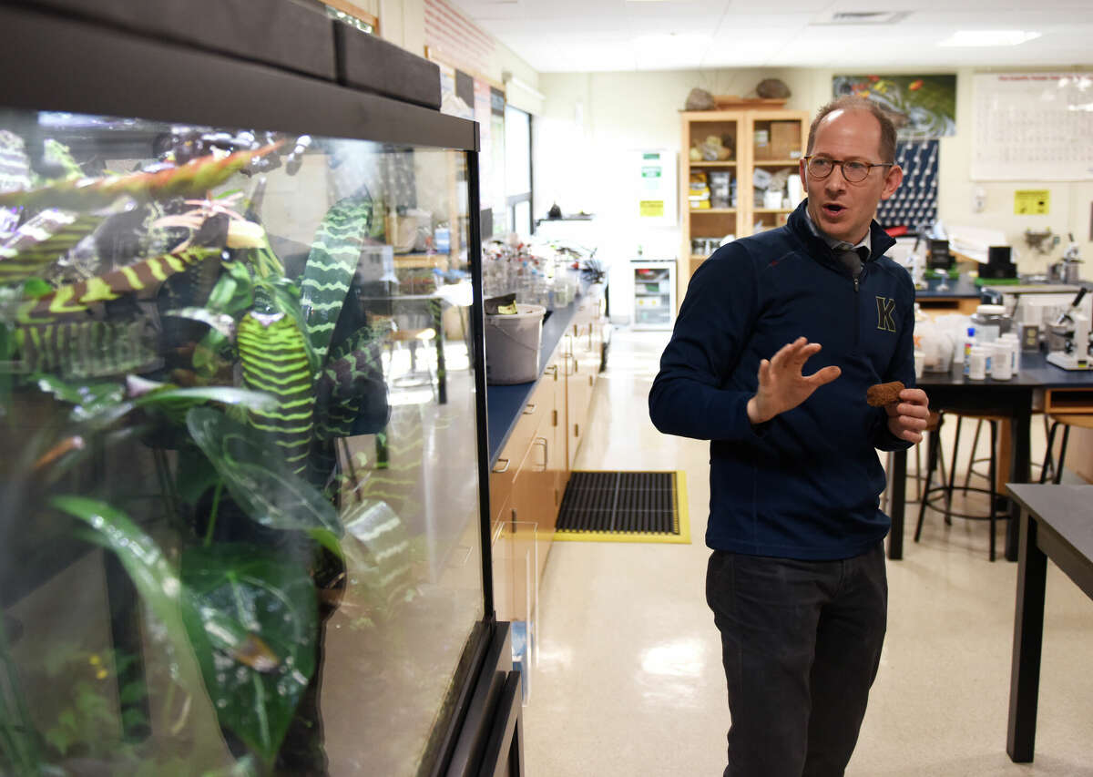 Science Department chair Nick DeFelice shows the vivarium tank containing endangered red-banded dart frogs at King School in Stamford, Conn. Thursday, Nov. 17, 2022. Two endangered red-banded dart frogs recently bred at least three tadpoles in the science room's vivarium tank. The King School Frog Conservation Project began four years ago under the guidance of science faculty and this year is the first time the frogs have successfully mated.