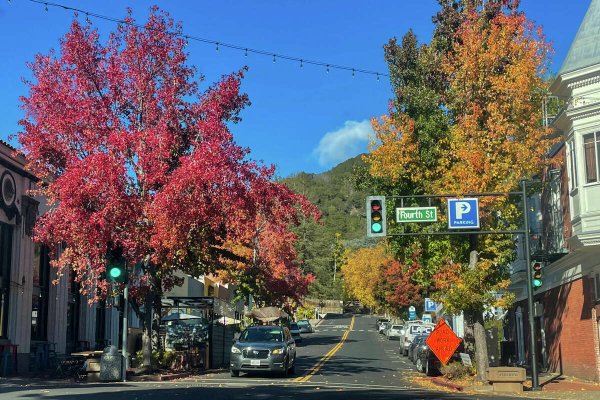 where-to-see-fall-colors-in-the-bay-area-at-their-peak