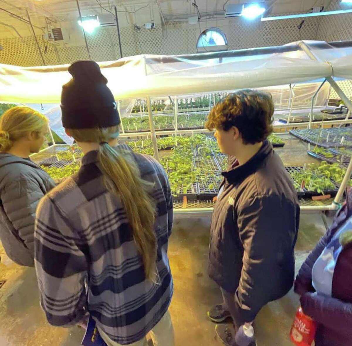 Frankfort students visit CBS Solar, Archangel Ancient Tree Archive