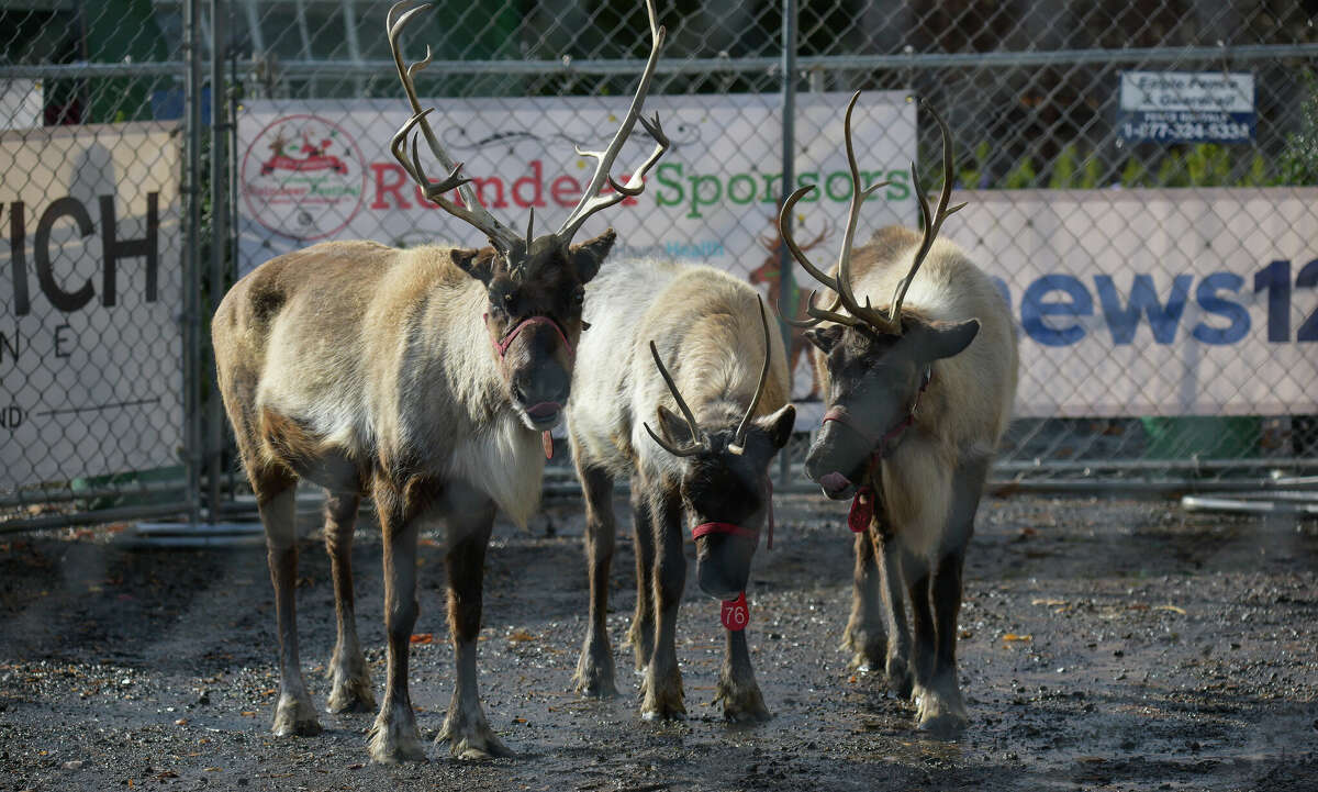 In addition to visiting the Reindeer and Photos with Santa, the Christmas Shop at Sam Bridge Nursery has everything anyone would need for the holiday season, including Christmas trees, holiday décor, gifts and so much more.  