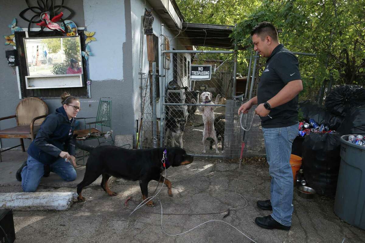 Reducing number of pets sent to San Antonio shelters