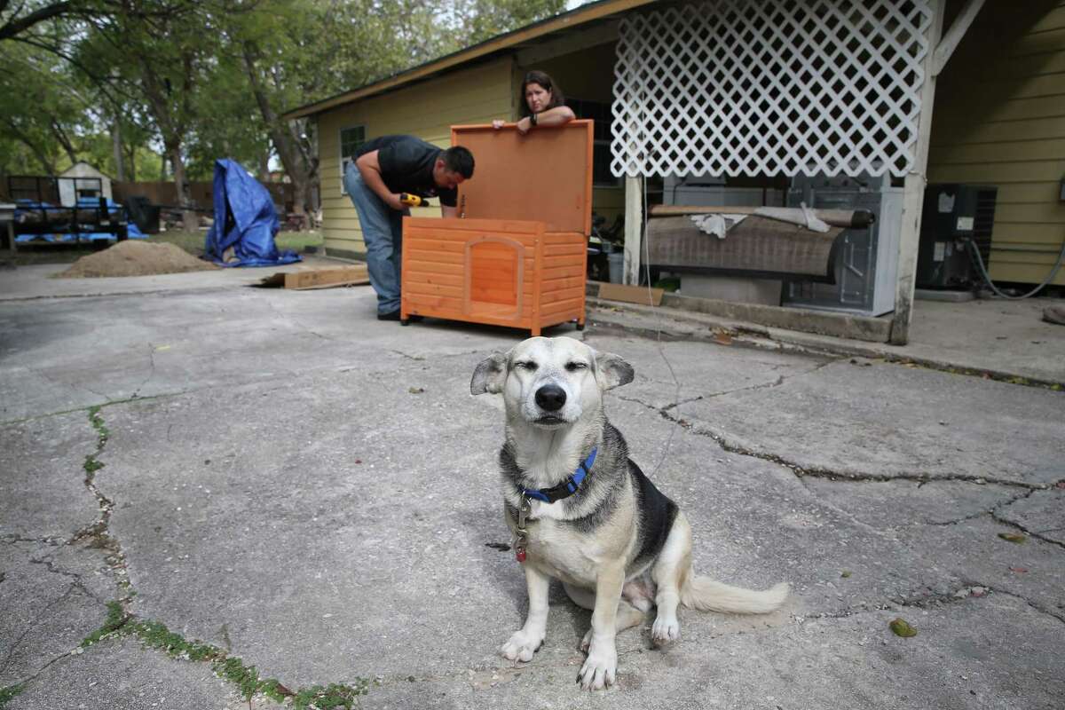 Reducing number of pets sent to San Antonio shelters