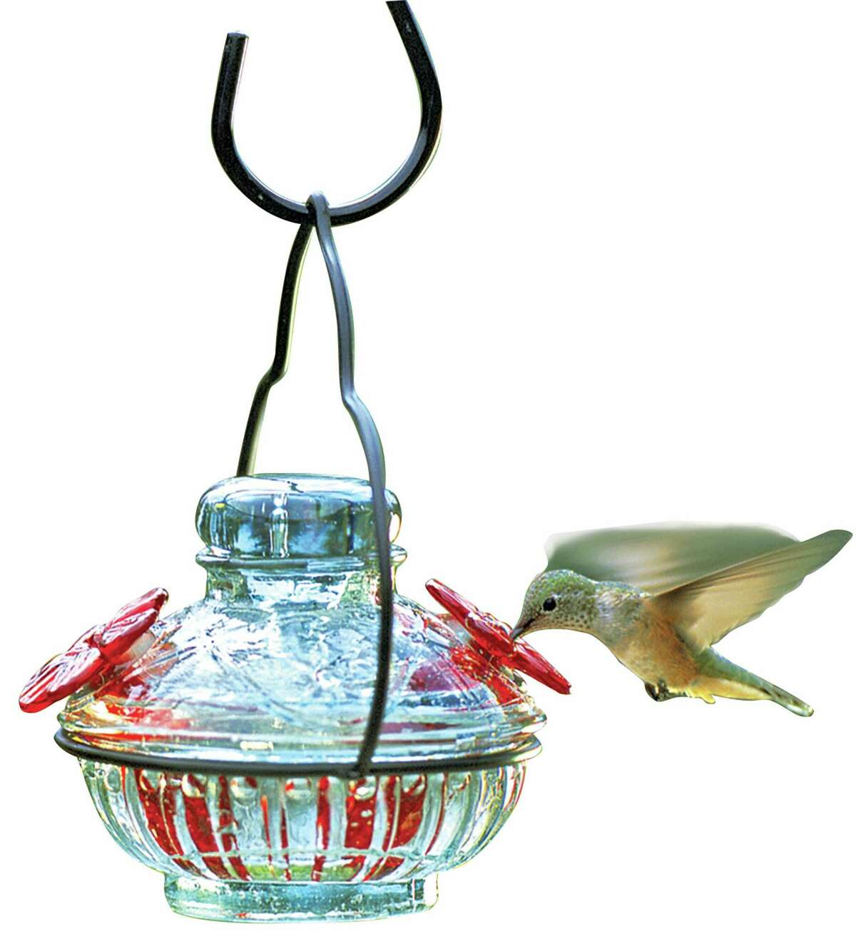 Pot de Creme Hummingbird Feeder