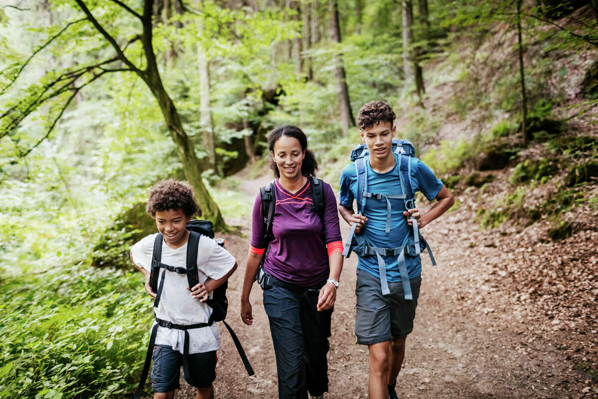 A family of three out hiking, navigating a woodland trail together.