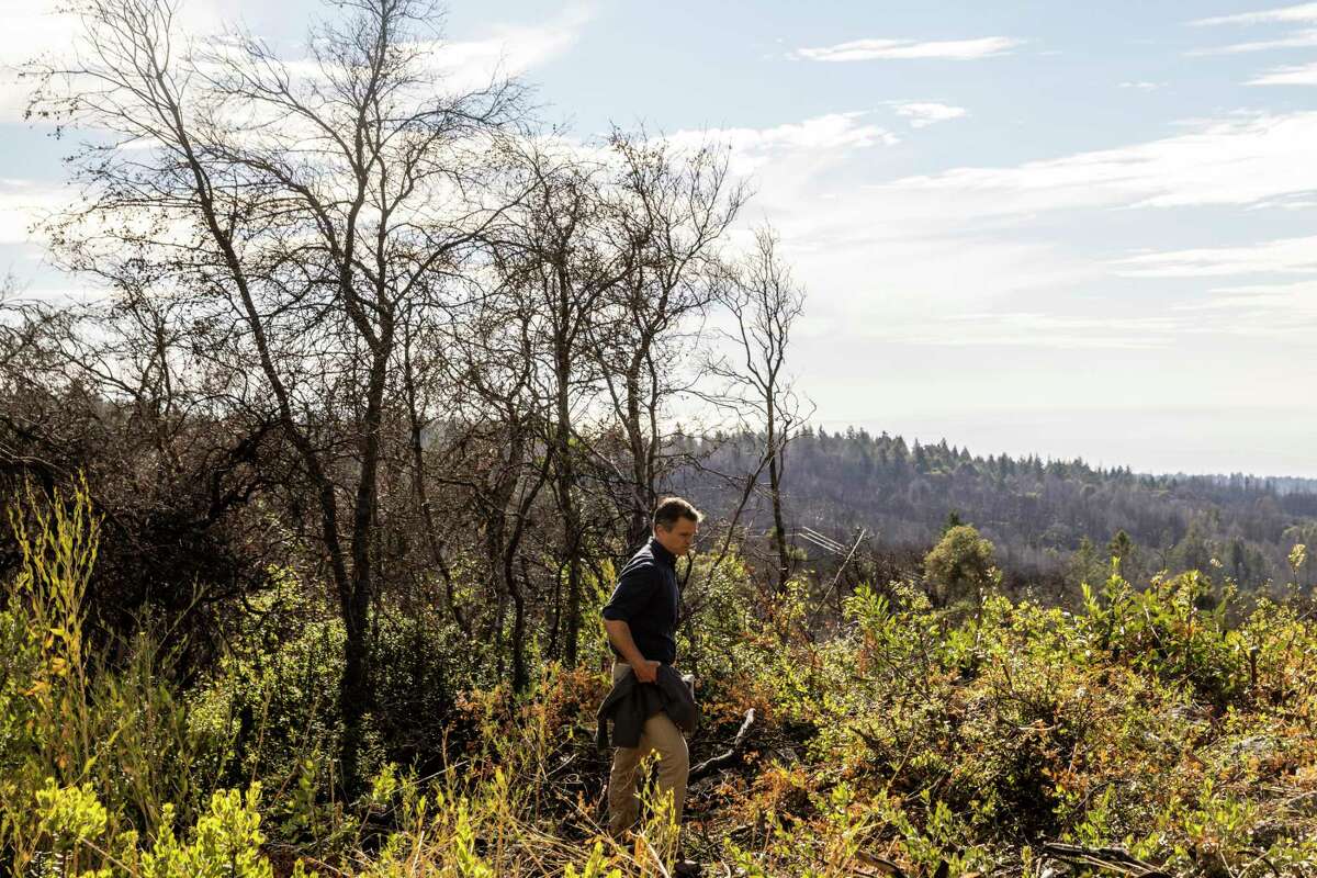 Sam Hodder, president and CEO of Save the Redwoods League, visits a vista point during a preview of San Vicente Redwoods.