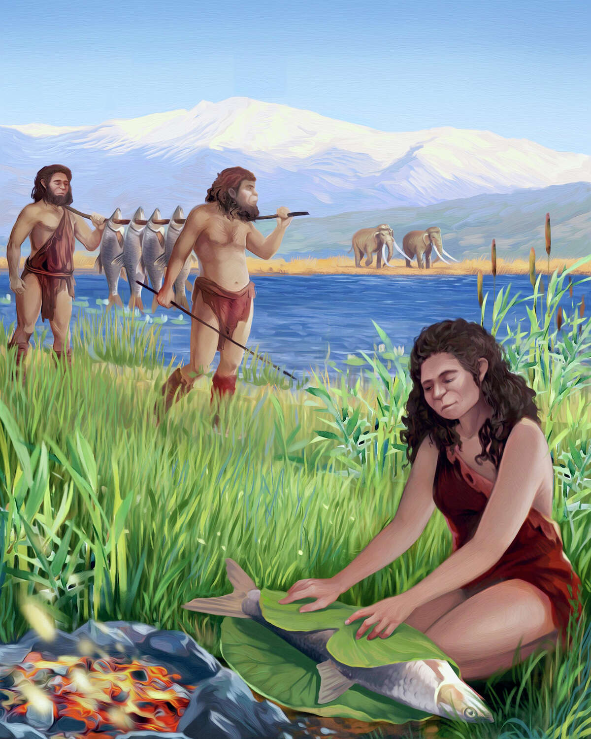 This illustration from Tel Aviv University depicts hominins preparing Luciobarbus longiceps fish on the shores of the ancient Lake Hula. A recent study found the oldest evidence of using fire to cook, dating back to 780,000 years ago.
