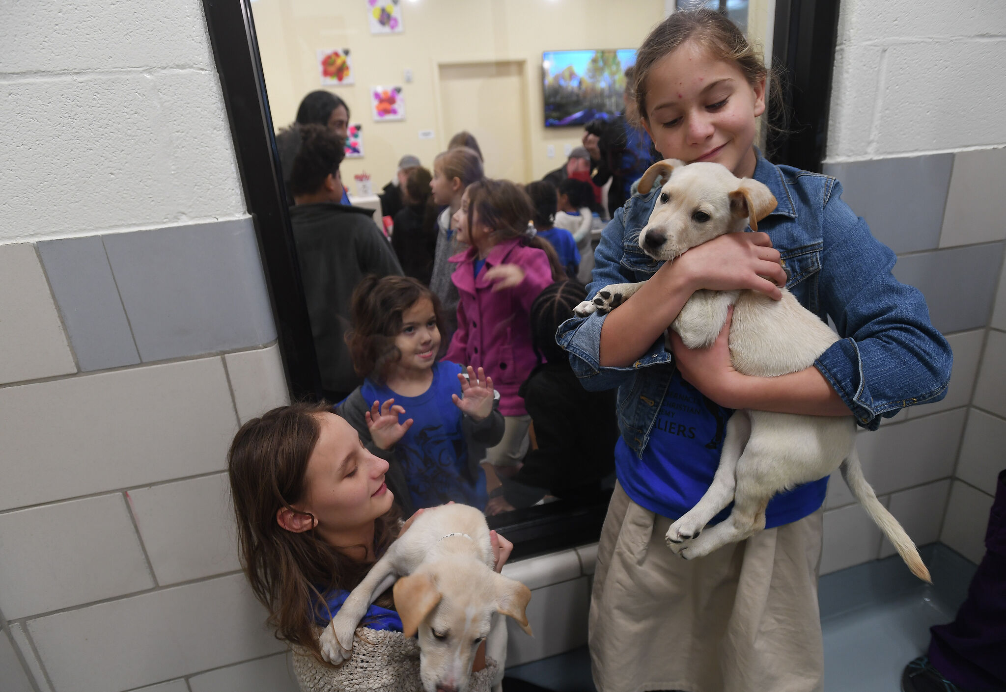 Calvary Tabernacle students give back to local animal shelter