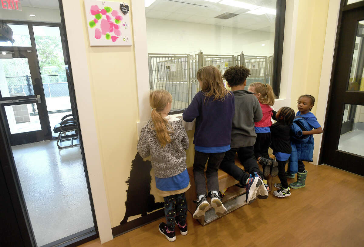 Calvary Tabernacle students peek into the adoptable dogs section while spending time at the Humane Society of Southeast Texas after dropping donations as part of the school's "Howliday Giveback." Photo made Thursday, November 17, 2022 Kim Brent/Beaumont Enterprise