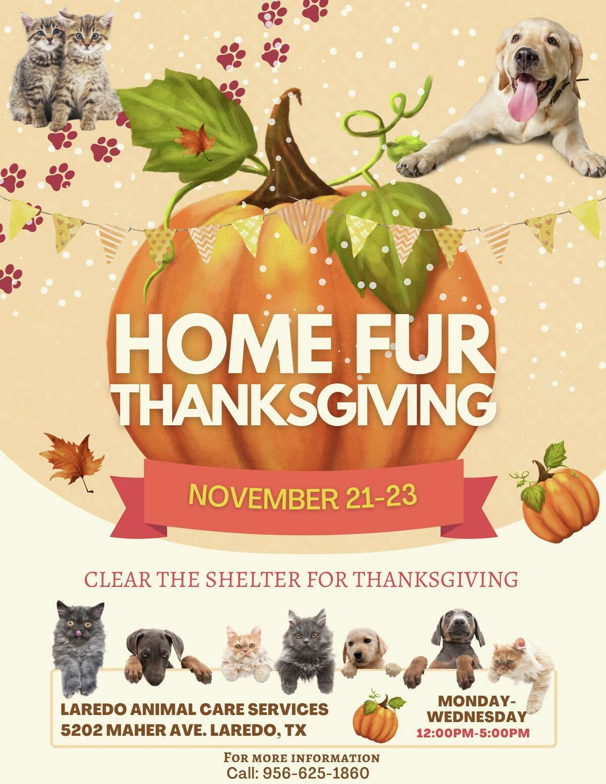 Laredo Animal Care Services is holding a "Home Fur Thanksgiving" free adoption and fostering event Nov. 21-23.