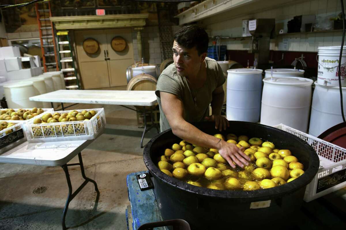 Ray Iannucci, owner of Valor Wines and Apple Theory, washes freshly harvested Golden Russet apples at his microwinery in North Haven.