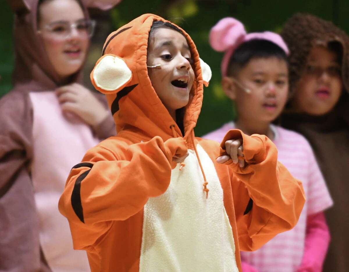 Fifth-grader Ximena Vargas plays the role of Tigger during the musical performance of "Winnie the Pooh KIDS" at New Lebanon School in the Byram section of Greenwich, Conn. Tuesday, Nov. 22, 2022. New Lebanon fifth-graders performed an adaptation of the A.A. Milne classic featuring songs from the original 2011 animated feature film plus new numbers by the renowned songwriting duo Robert and Kristen Lopez, of "Frozen" fame. The musical was directed and choreographed by Carol Pugliano featuring musical direction by Audrey Maurer.