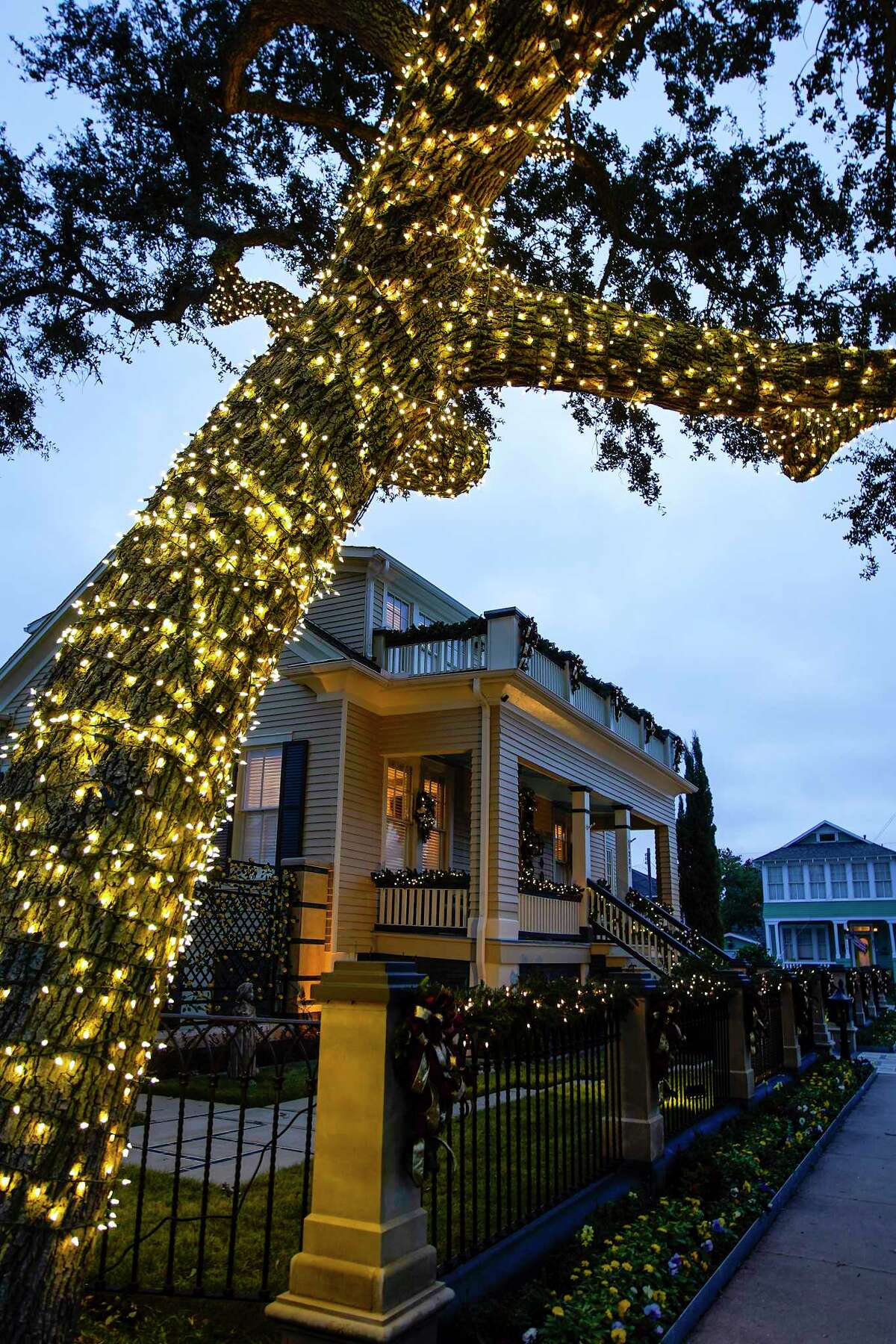 A giant oak tree in the front of Chip and Mary Hosek's Galveston home is aglow in holiday lights. Their home will be on the annual East End Historical District Holiday Home Tour Dec. 2-3.