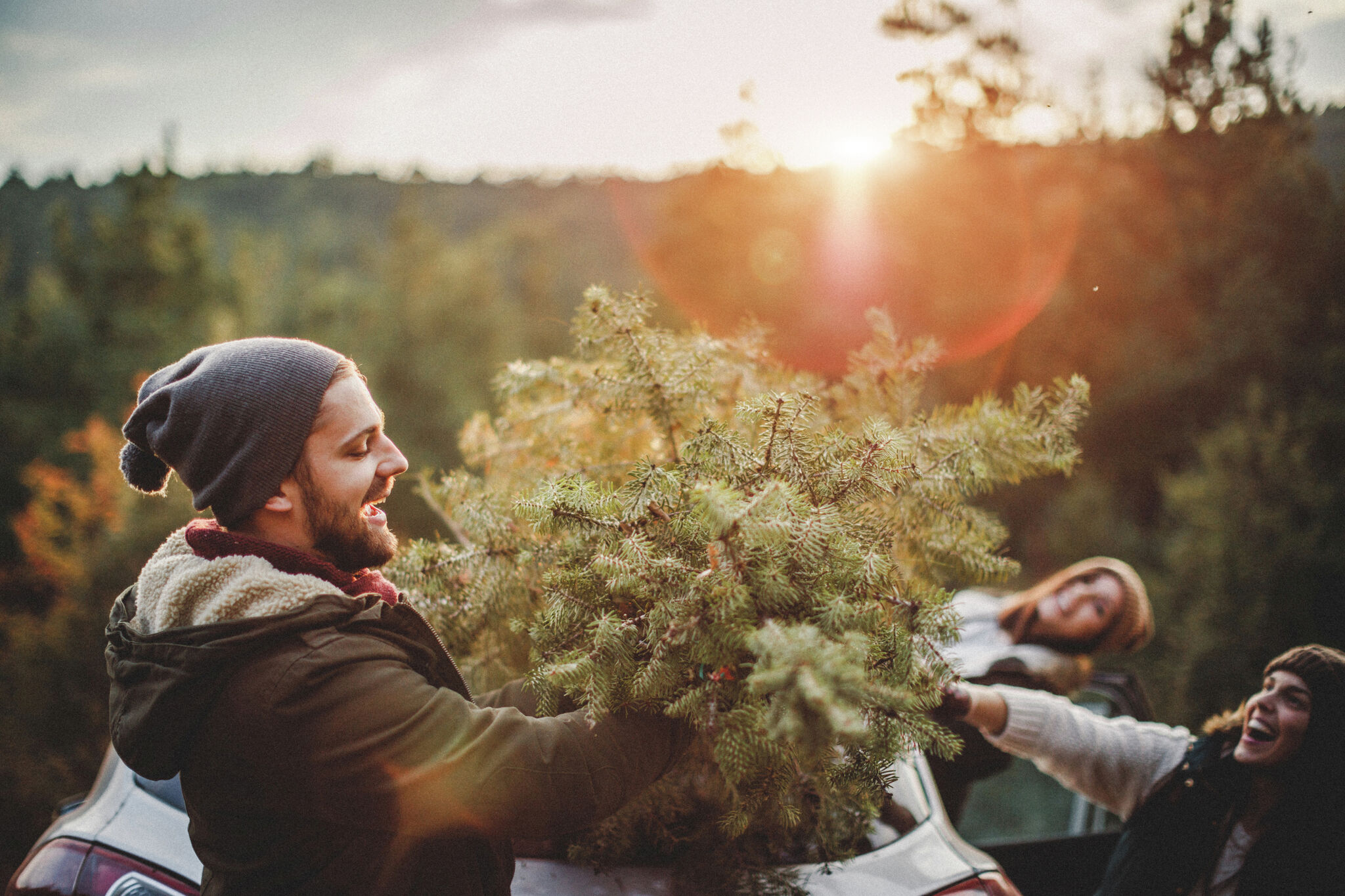 All the Christmas tree farms in San Antonio