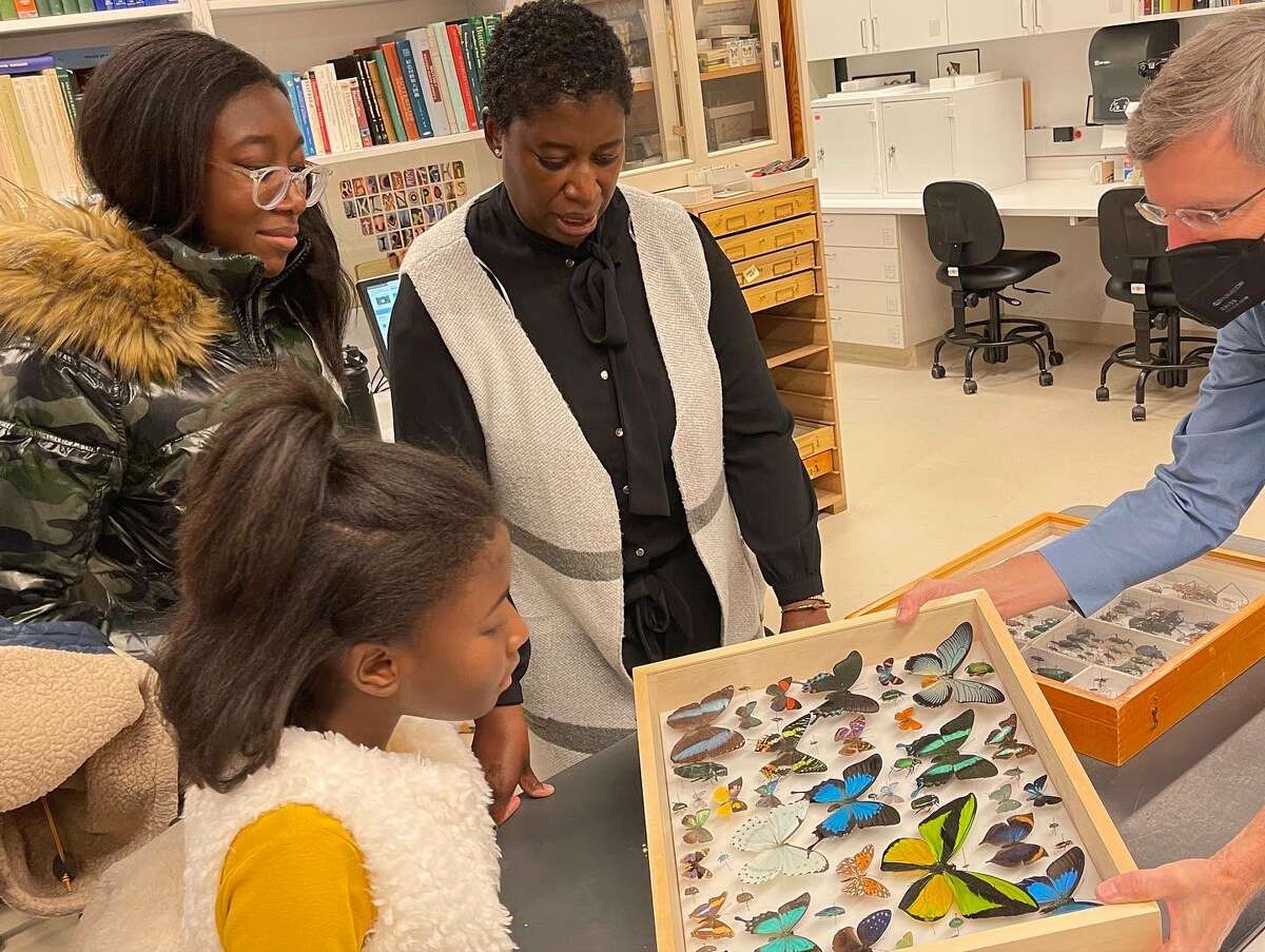 Bobbi Wilson of New Jersey, her sister Hayden Wilson and her mother, Monique Joseph, look at butterflies at Yale Peabody Museum’s Division of Entomology in New Haven Nov. 16, 2022.