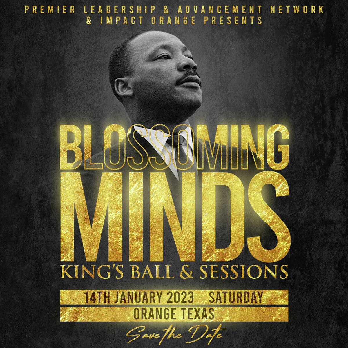 Premier Leadership and Advancement Network and Impact Orange is seeking sponsors for its upcoming Blossoming Minds: Kings' Ball.