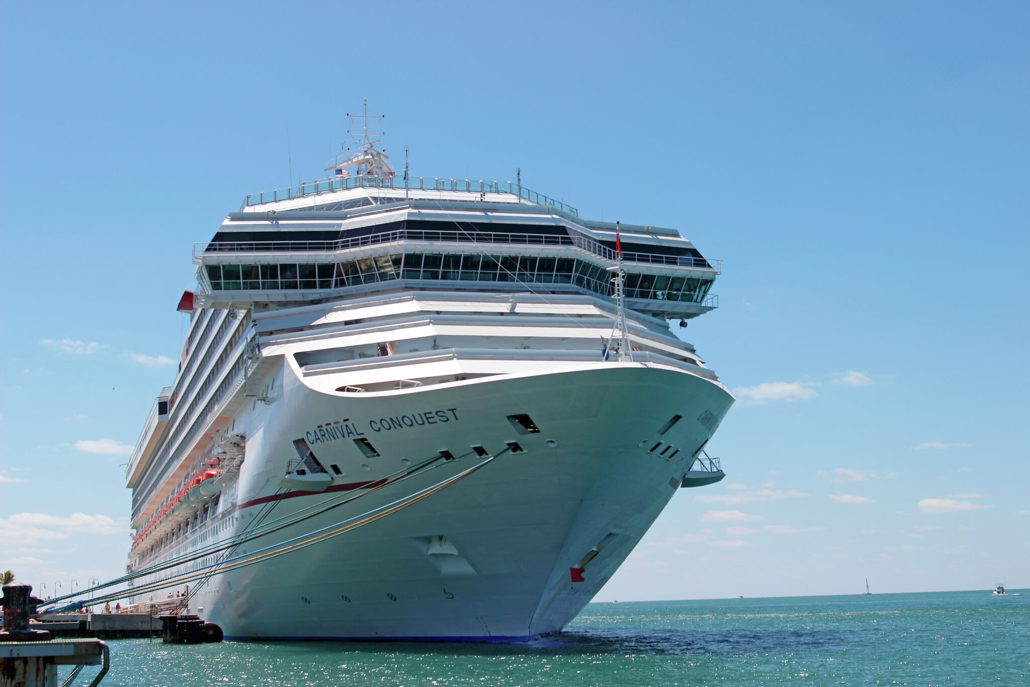 cruise ship passenger goes missing