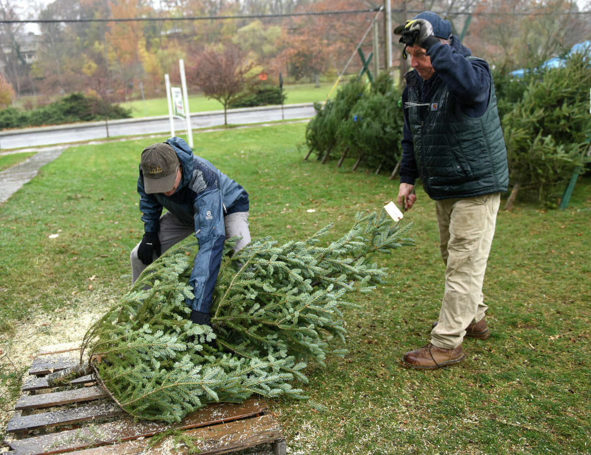 Paul Ghaffari, left, and Tom White prepare a tree for pickup at the 56th annual Christmas tree and wreath sale at First Congregational Church in Old Greenwich, Conn. Sunday, Nov. 27, 2022. The sale featured 515 New Hampshire fraser and balsam fir trees and more than 300 balsam and mixed greens wreaths. All proceeds will go to local charities Abilis, Barbara's House, Building One Community, Mothers for Others, Pacific House, and the First Church Fund to benefit New Covenant Center Soup Kitchen.
