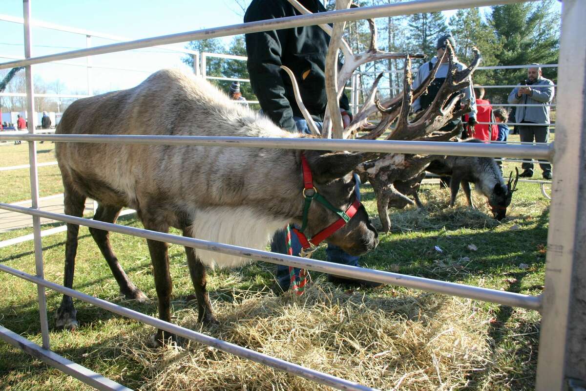 The annual Evergreen Festival in downtown Reed City kicked off the holiday season this past weekend with a holiday decorating contest, a lighted parade and visits with Santa and his reindeer.