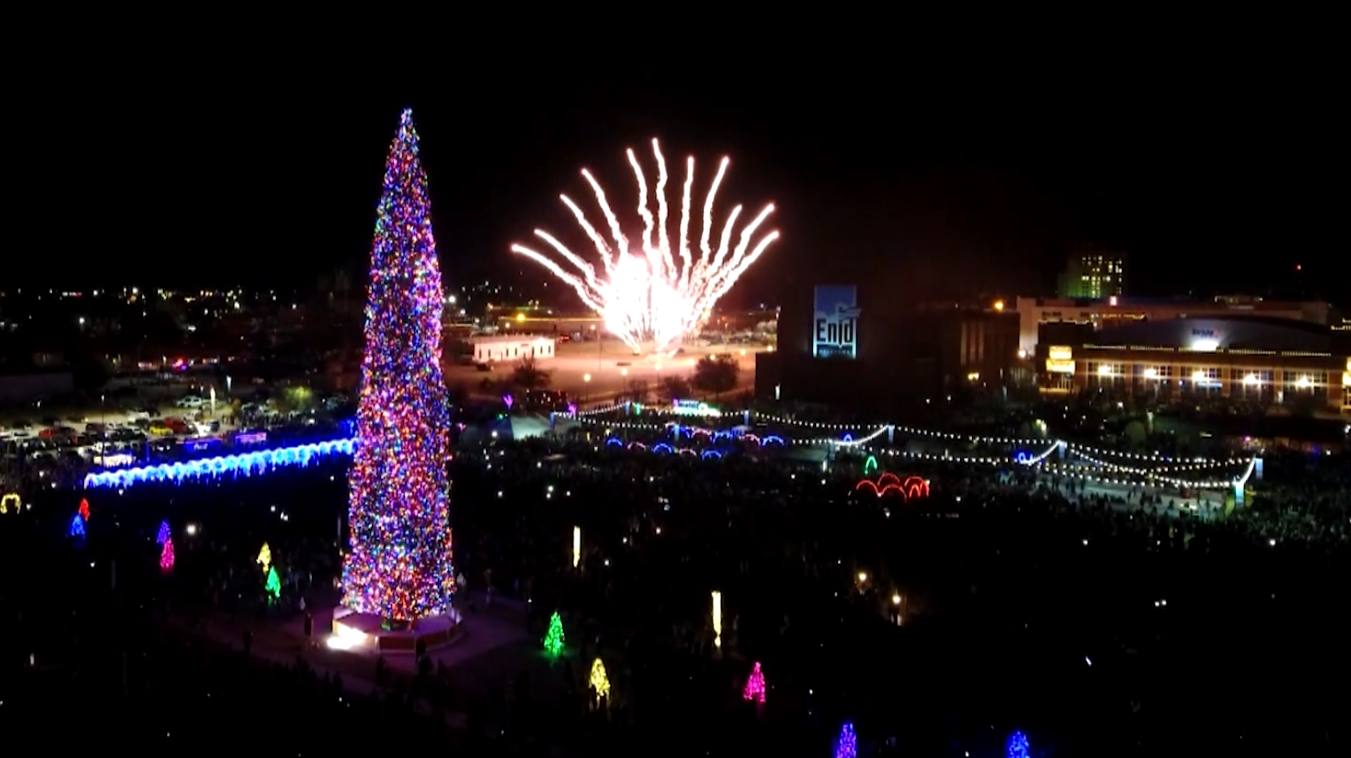 The 'world's largest freshcut Christmas tree' has been lit up for the