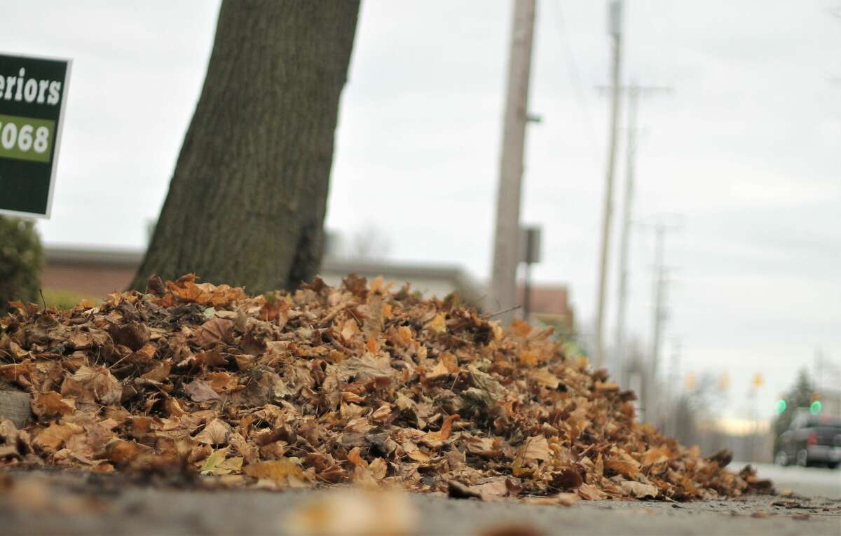 A pile of leaves sits on First Street in Manistee on Nov. 28.