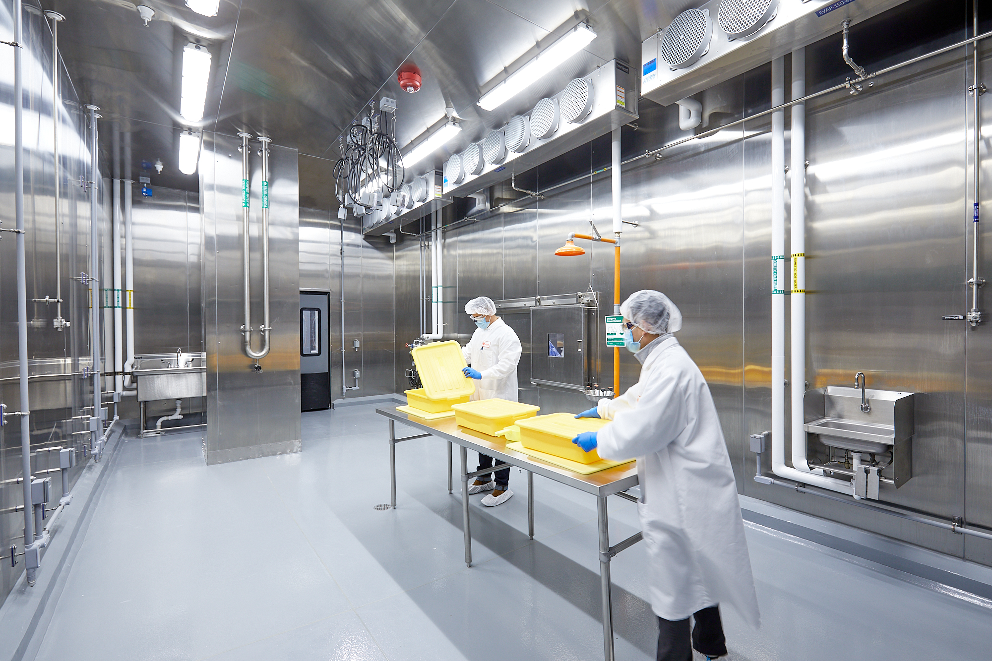 From Chicago to Rostock: A Biotech Career Reset