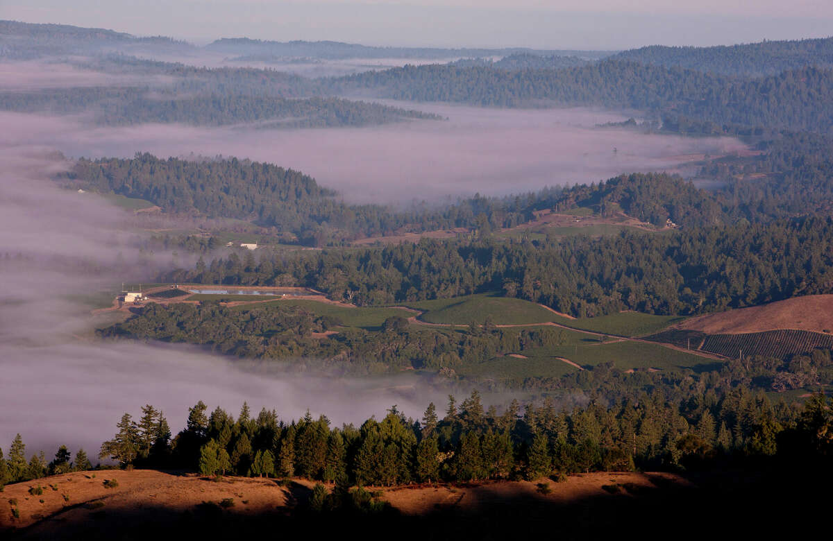 A thin layer of ground fog forms along the ridges and vineyards of the Anderson Valley on September 9, 2012, in Philo, California