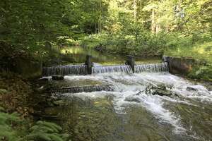 Michigan's DNR earns $5M from America the Beautiful Challenge