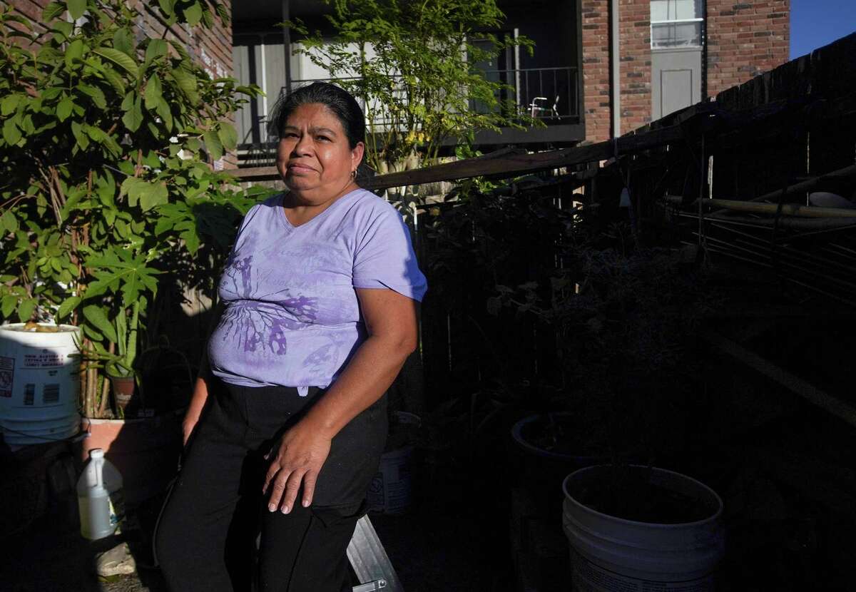 Olga Carmen Gutierrez, 59, has a guava tree she grew from seed, along with other plants on the porch of her Gulfton apartment, photographed on Wednesday, Nov. 30, 2022 in Houston.