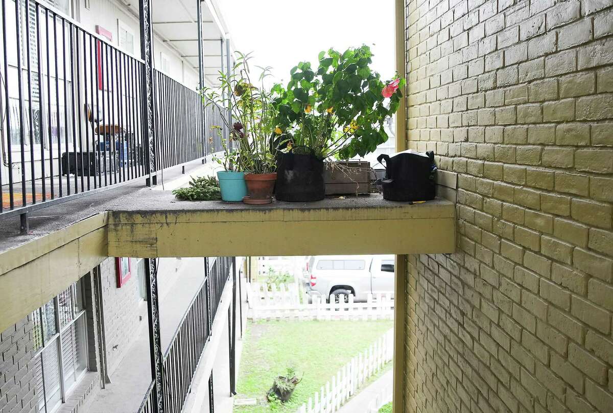 A resident at a Gulfton apartment found a way to keep plants out of the walkway on Thursday, Dec. 1, 2022 in Houston.