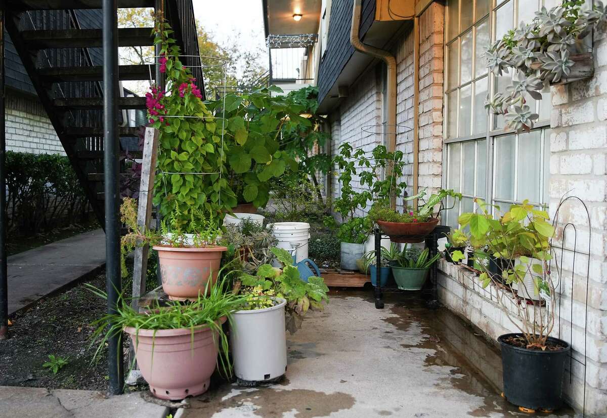Plants including herbs and succulents line a patio at an Gulfton apartment on Thursday, Dec. 1, 2022 in Houston.