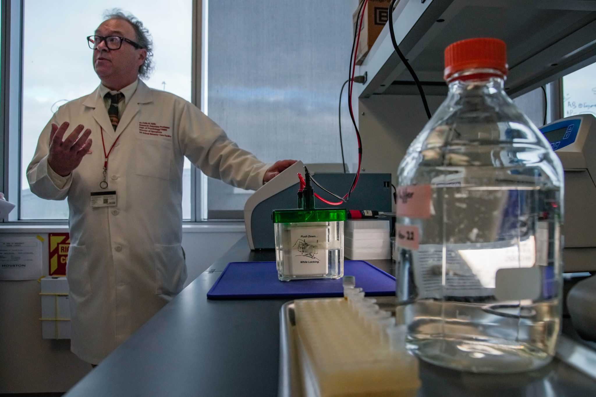 UH launches new health hub, bringing together research and teaching