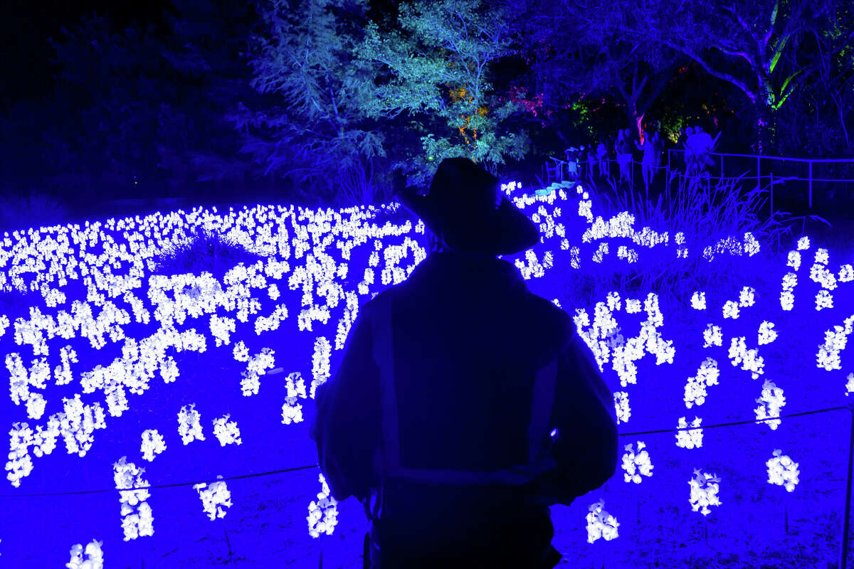 Lightscape at the Houston Botanic Garden