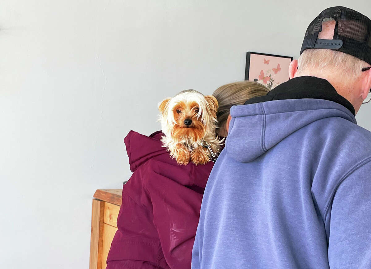 Middletown's Shampooch Paw Spa owner aims to pamper pets with massage