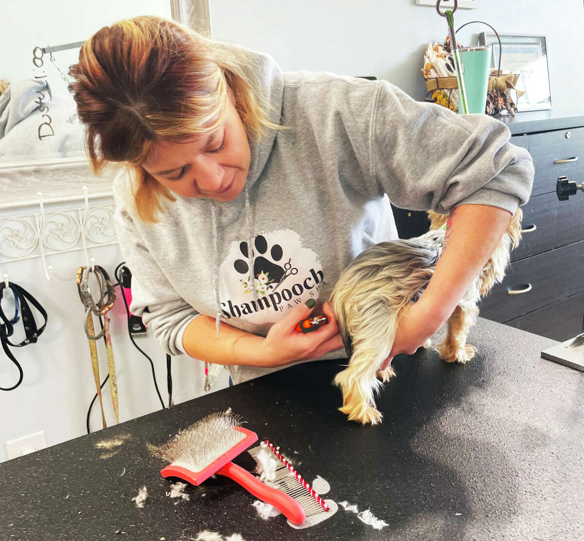 Middletown's Shampooch Paw Spa owner aims to pamper pets with massage