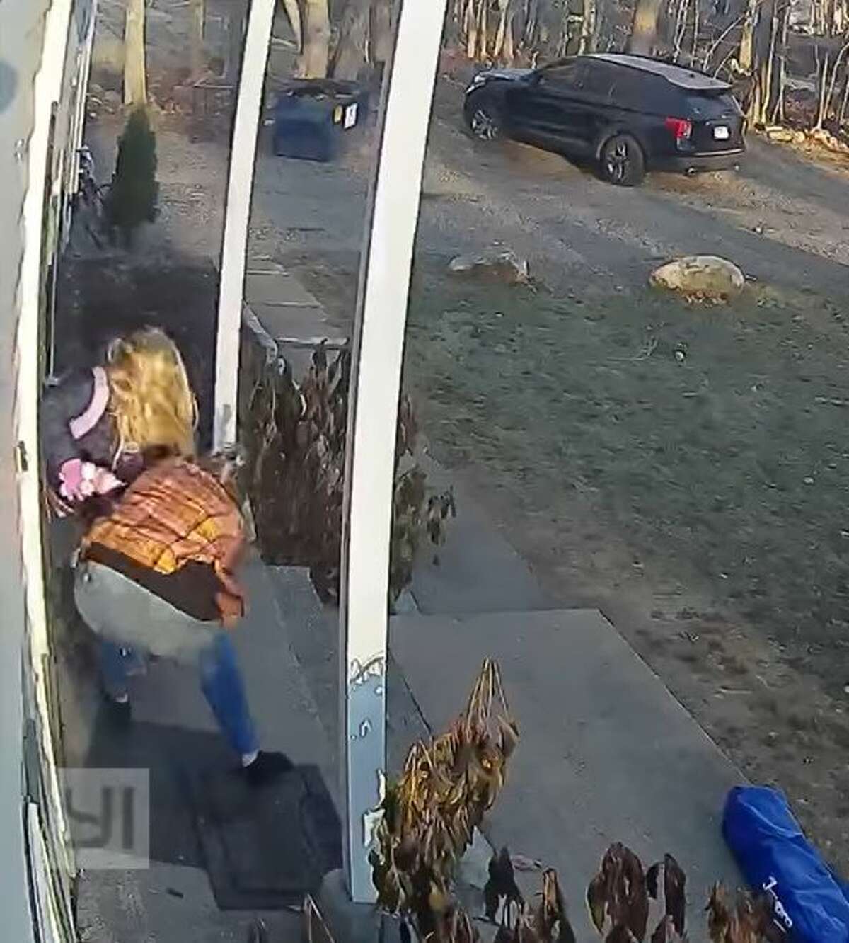 Video shows CT mom save screaming daughter from attacking raccoon
