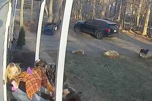 Video shows CT mom save screaming daughter from attacking raccoon