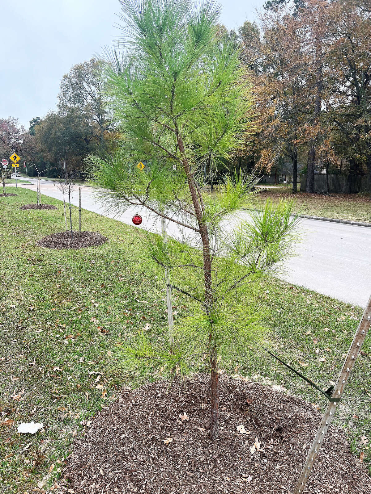 Kingwood's Livable Forest gets makeover after 50 years