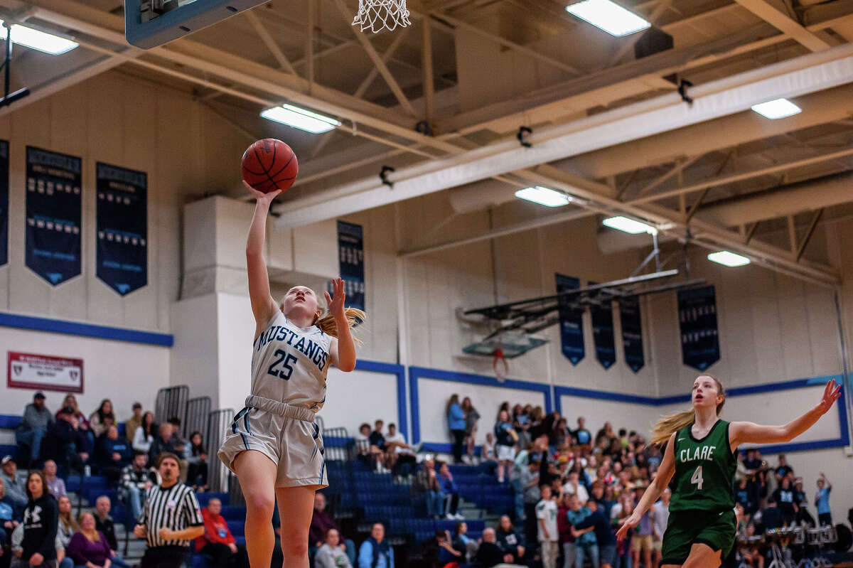 PHOTOS Meridian clashes with Clare in girls basketball