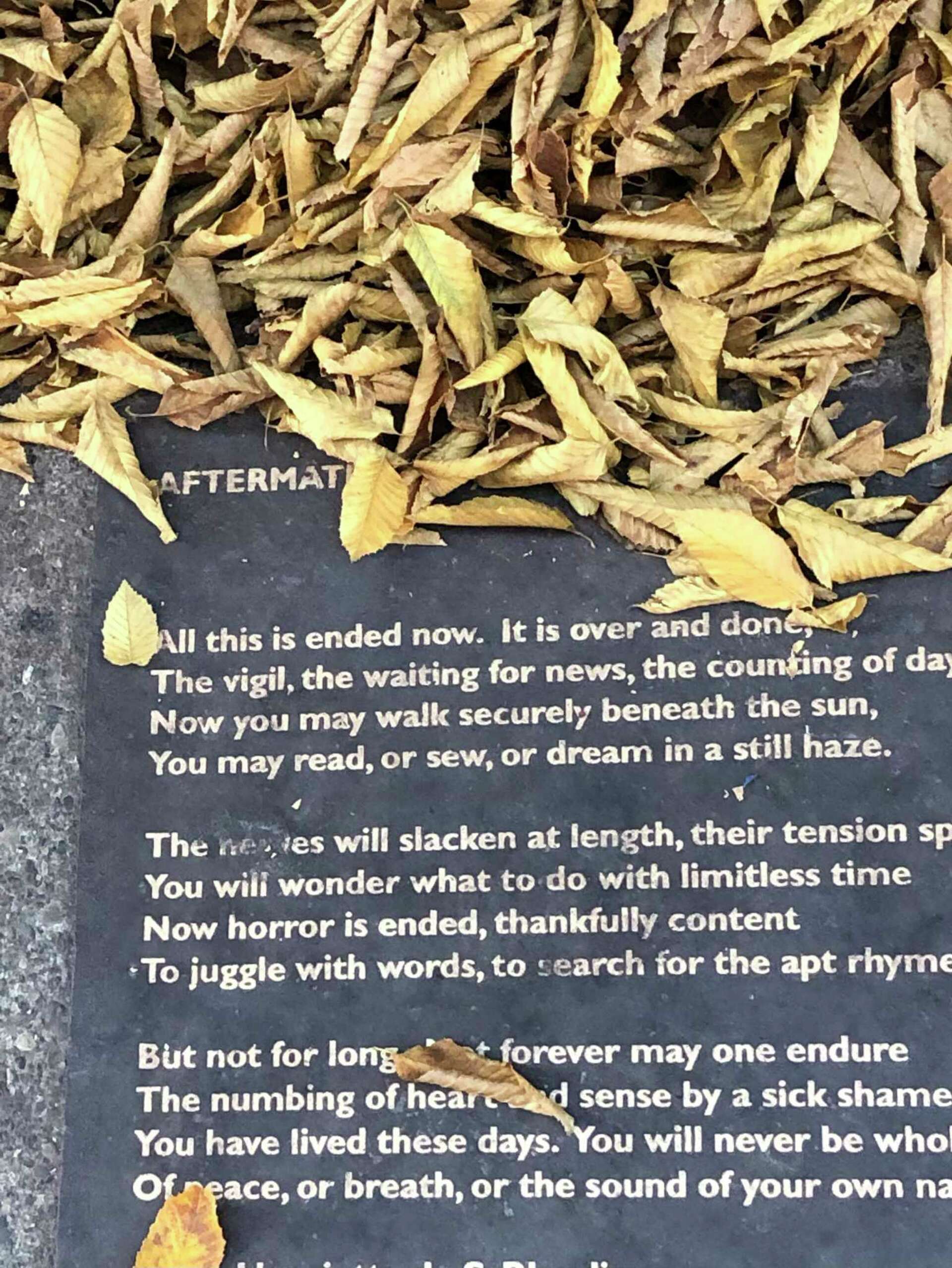 Words on the street: the enchantment of the Berkeley Poetry Walk