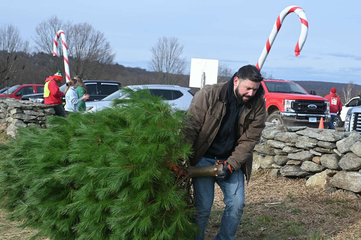 Real vs. Artificial Christmas trees Which one do CT residents prefer?