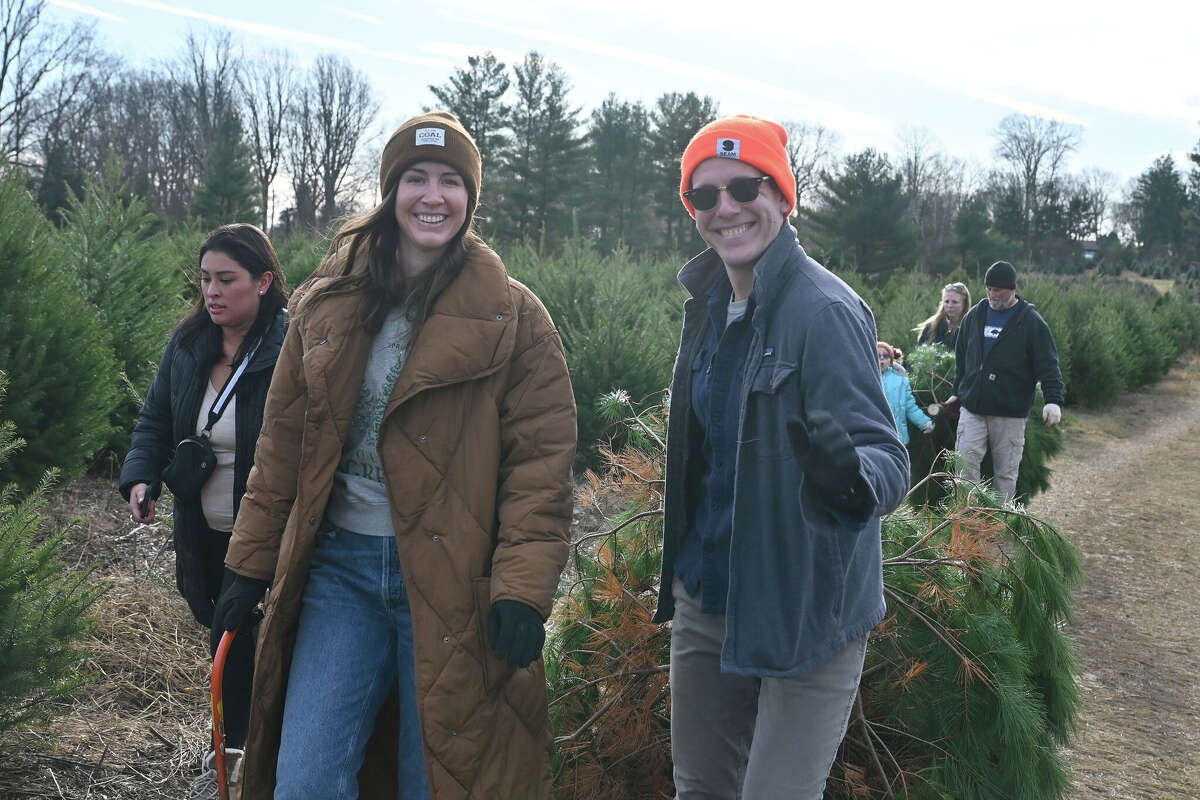 The real vs. artificial Christmas tree debate in CT