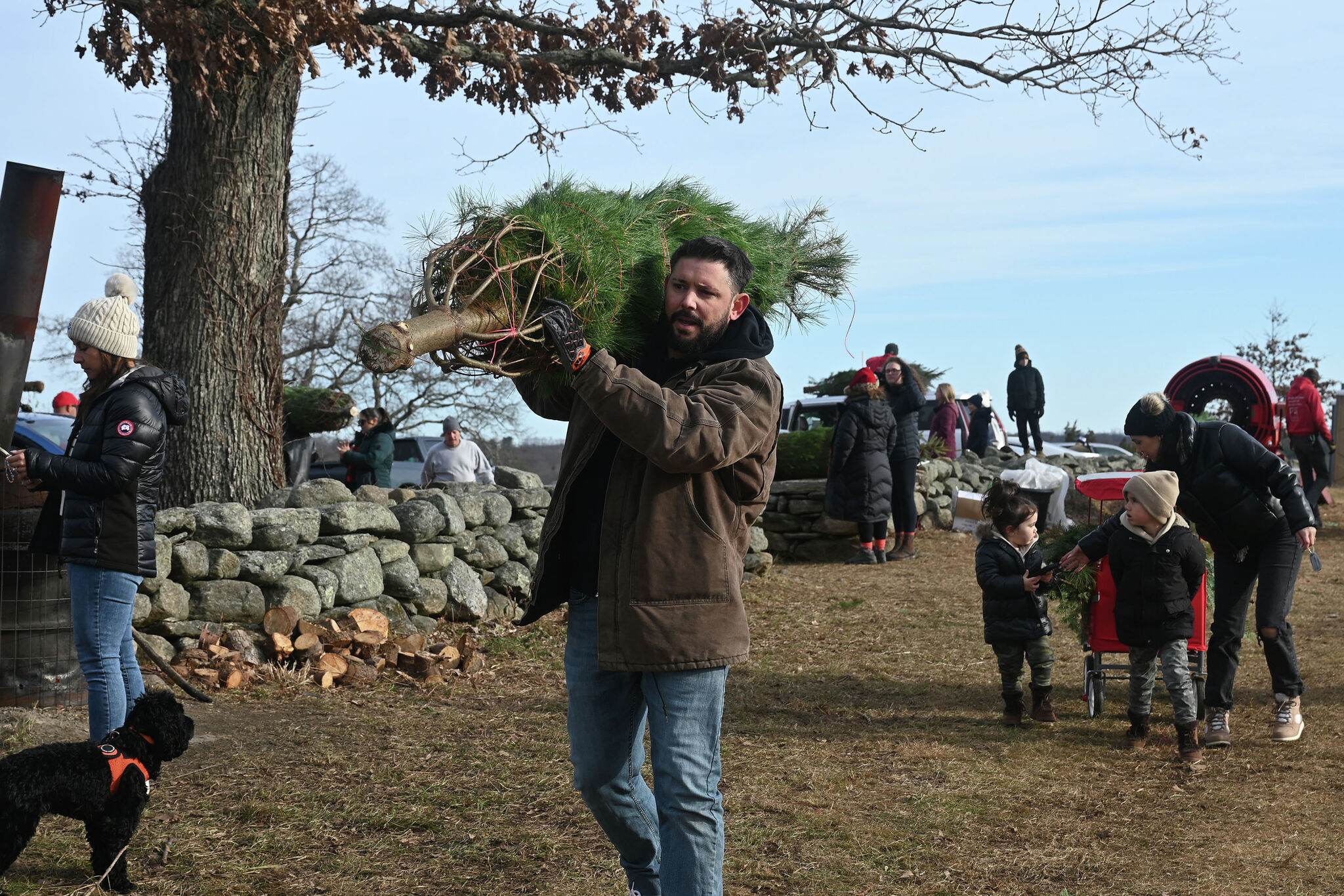 Are Christmas trees more expensive in CT and the U.S. this year?