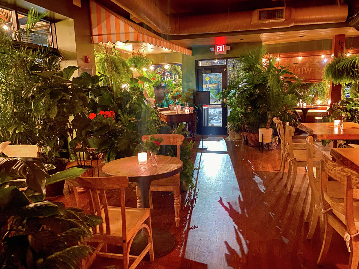 The familiar plant-filled interior remains at Troy Beer Garden, but other changes are evident throughout the interior and on the menu, now no longer exclusively vegan.  