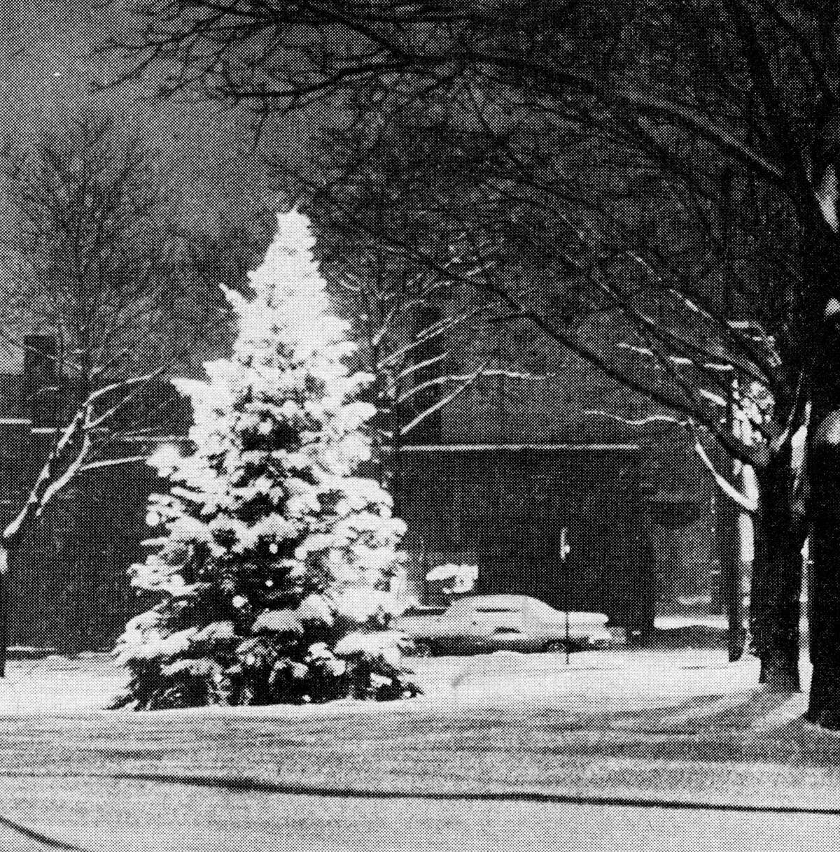 The Manistee High School spruce tree was cut down by vandals — but it proves to be one of the most beautiful community Christmas trees in many years as its many lights shine through the snow-covered branches. The community tree is located on the triangle at River and Water streets. The photo was published in the News Advocate on Dec. 11, 1962.