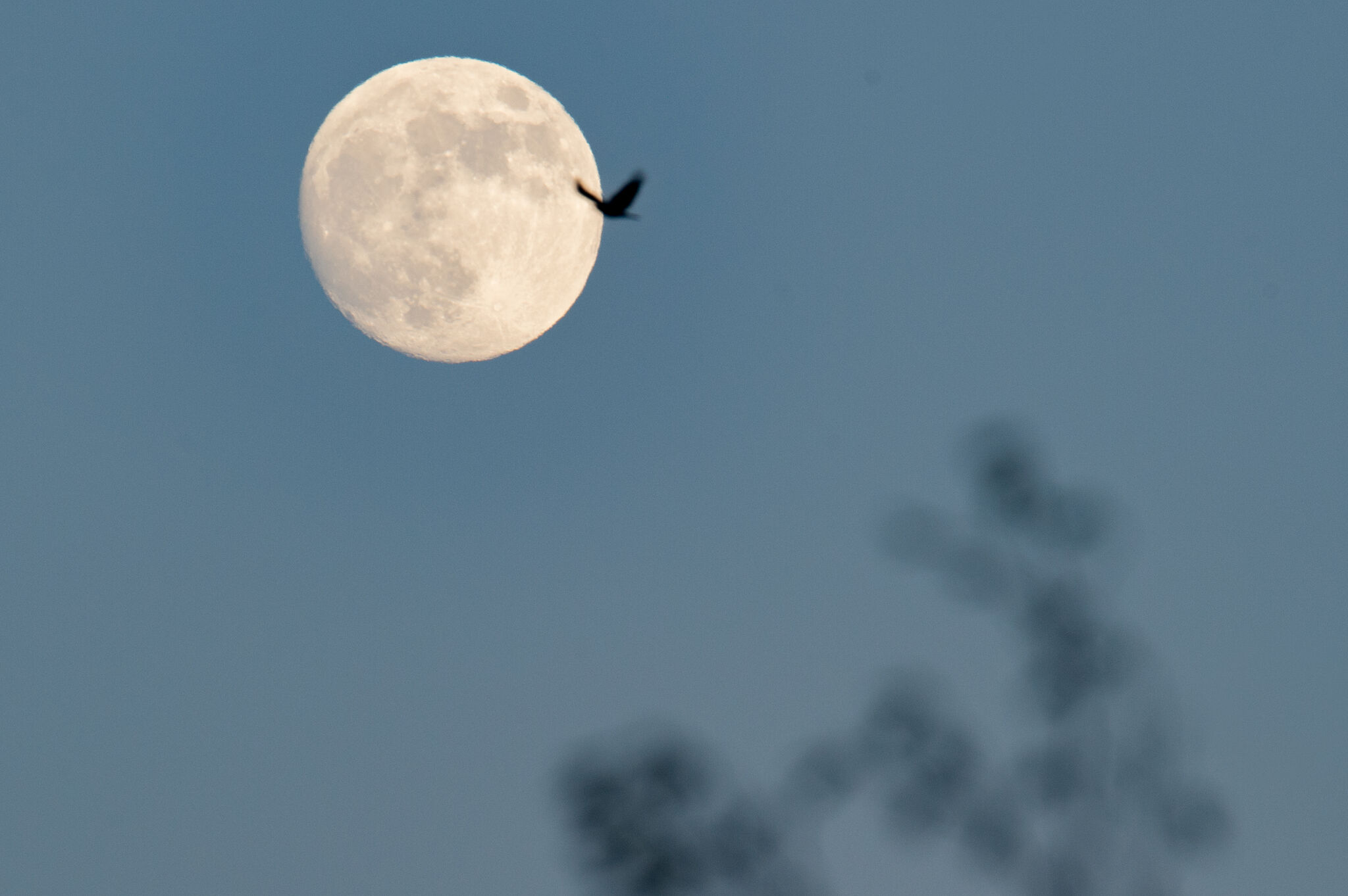 Cold moon to rise over CT on Dec. 7 What to know
