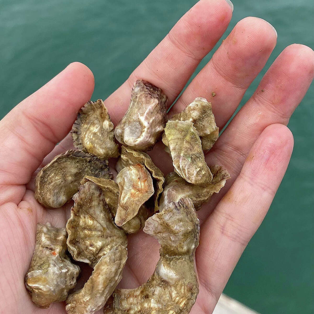 The hidden history beneath the waters of Hawaii's Pearl Harbor SFGATE