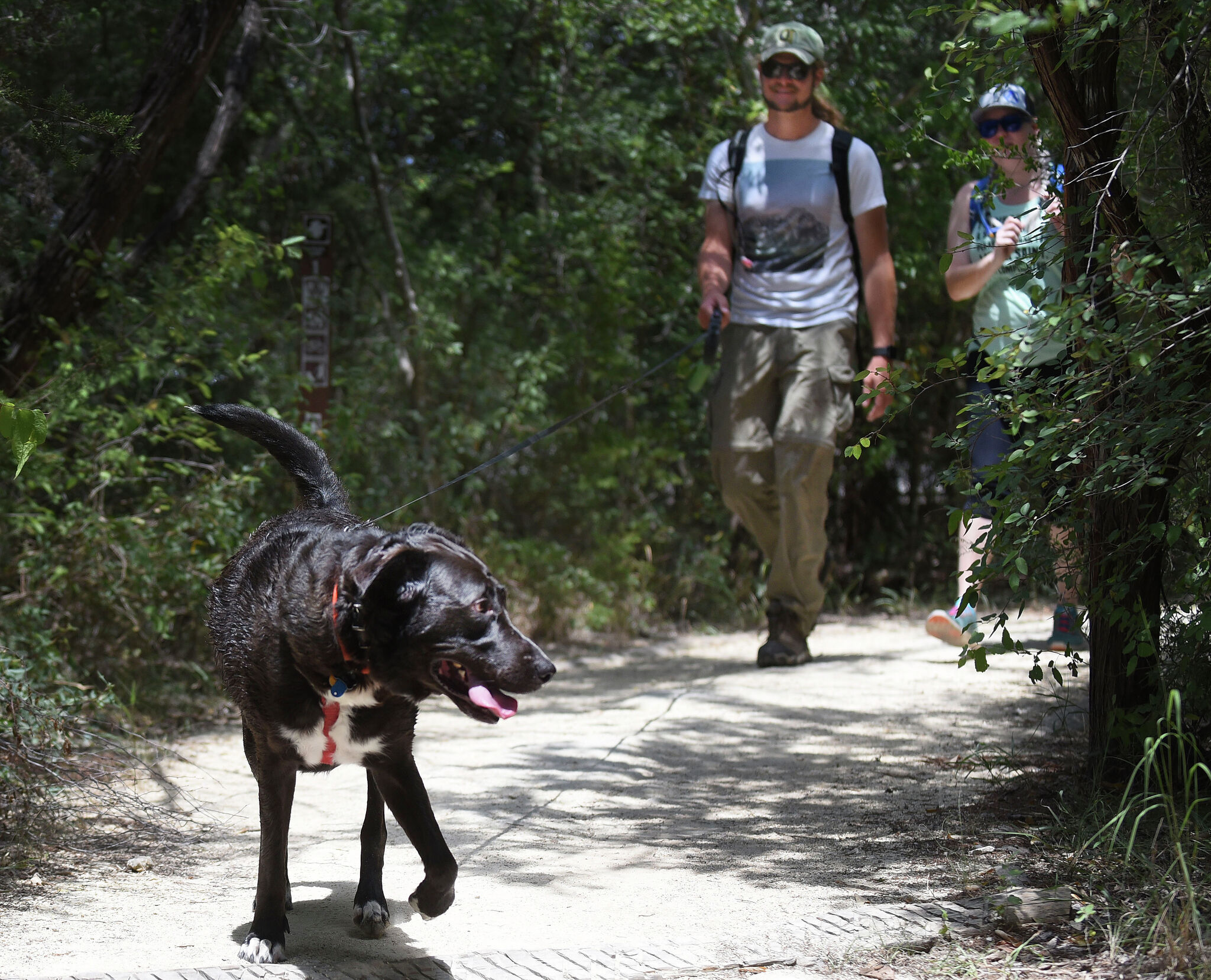 are dogs allowed in state parks in texas