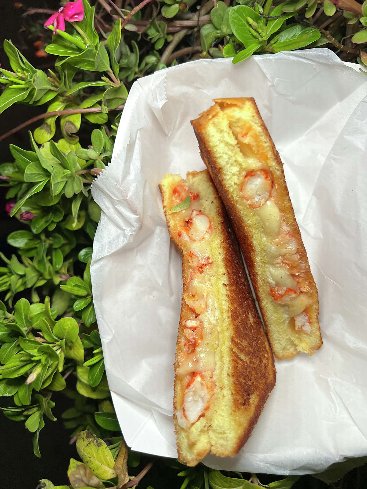 Lobster rolls worth a drive at Masshole food truck