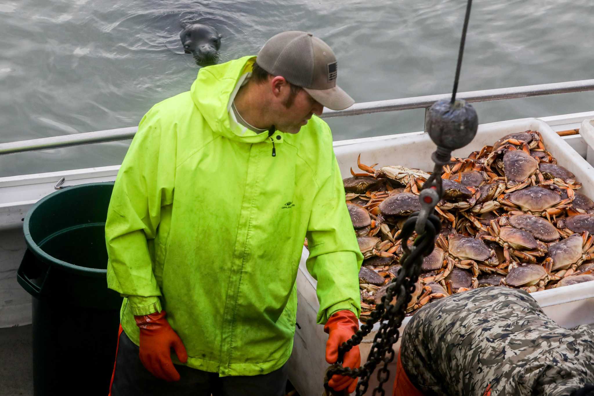 Commercial crab season to start along California North Coast on New Year's  Eve - The North Bay Business Journal